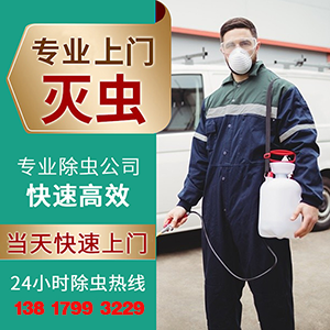 家中發生鼠害宿遷滅鼠公司上門滅鼠